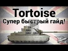 Tortoise — Супер быстрый гайд, как играть на Тортойзе