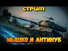 Веселый стрим "Мышко и Антинуб" | World of Tanks