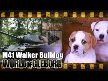 World of Gleborg. M41 Bulldog — Педобиринг 80 лвл