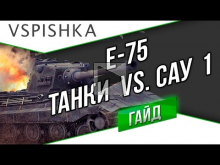 ТАНКИ против САУ — 1 (Е 75 на Руинберге) Vspishka.pro 18+