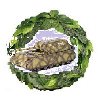 Безымянный.png