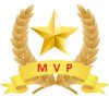 wot_mvp.jpg